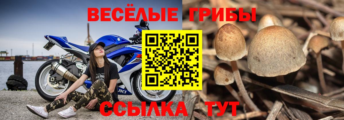 Тула  Галлюциногенные грибы MAGIC MUSHROOMS  закладки  Псилоцибиновые грибы мухоморы  Вход с VPN 